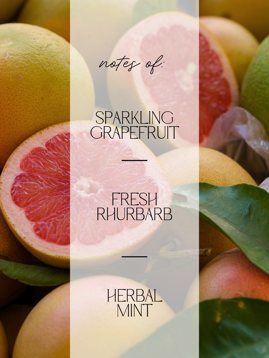 A close-up of sliced grapefruits and mint leaves with overlaid text reading 'notes of: SPARKLING GRAPEFRUIT - FRESH RHURBARB - HERBAL MINT' on a translucent vertical panel.
