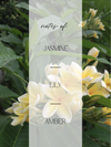 Jasmine & Plumeria 10oz. Candle