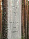 A vertical text overlay reading 'notes of: PINE EUCALYPTUS CYPRESS' over a blurred forest scene with tall tree trunks.