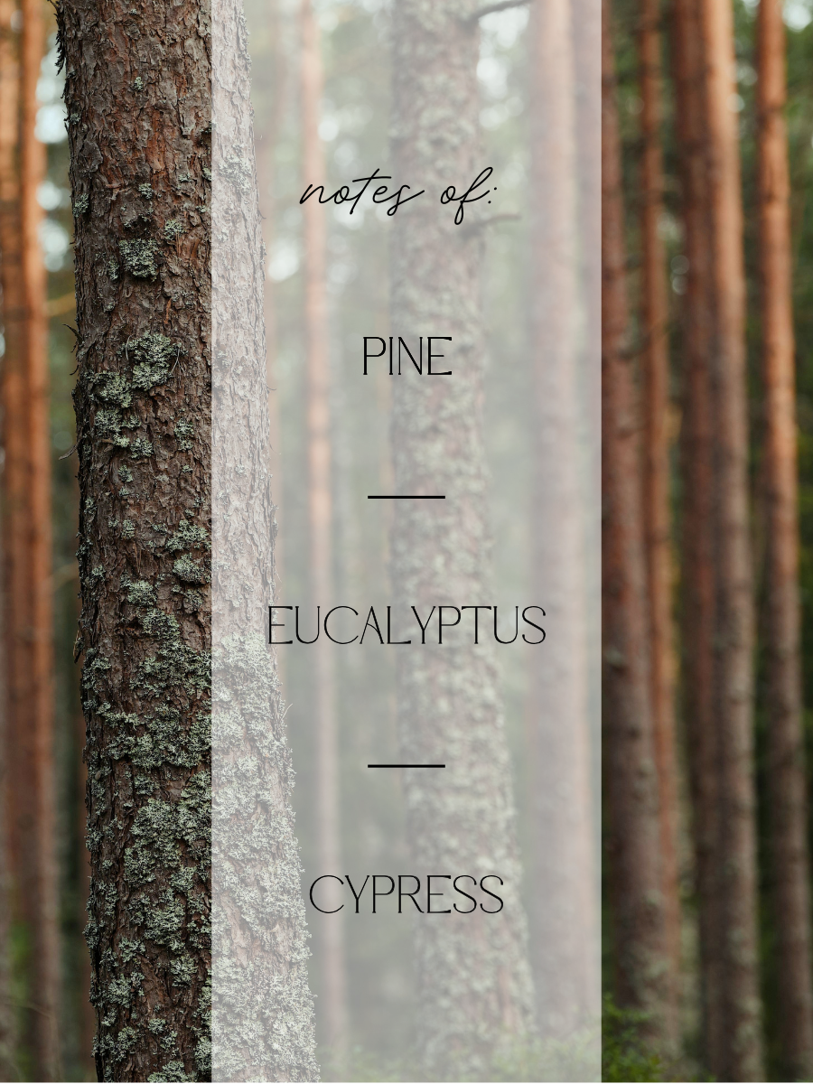 A vertical text overlay reading 'notes of: PINE EUCALYPTUS CYPRESS' over a blurred forest scene with tall tree trunks.