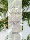 A tropical-themed graphic with a faded palm tree and coconuts behind a semi-transparent vertical panel containing the text 'notes of: SANDALWOOD COCONUT MILK CEDAR' in black script and sans-serif fonts.