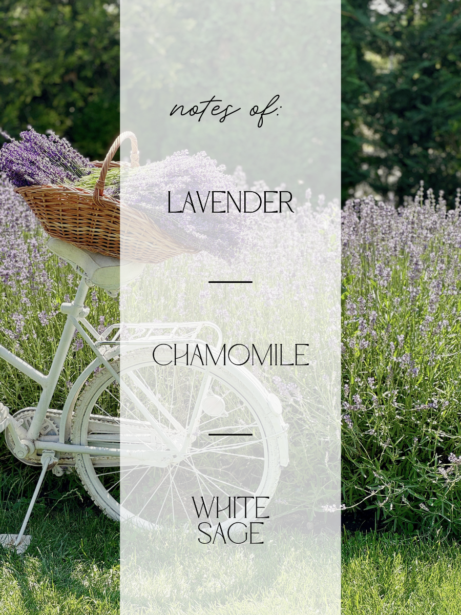 A vertical graphic with a faded lavender field and a white bicycle carrying a basket of purple lavender. Text in the center reads 'notes of: LAVENDER — CHAMOMILE — WHITE SAGE'.