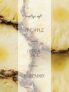 A vertical graphic with a translucent cream center panel reading 'notes of: PINEAPPLE - HERBAL SAGE - ROSEMARY' over a background of sliced pineapple in soft yellow and beige tones.